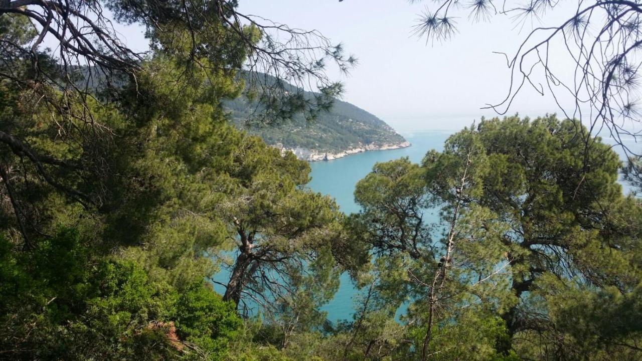 Olive&Sea Villa-Sea ماتيناتا المظهر الخارجي الصورة