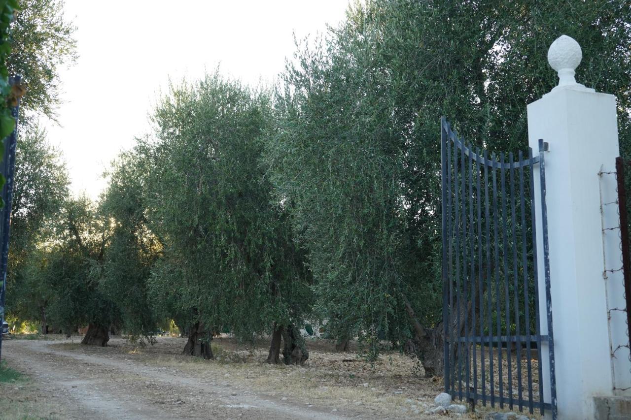 Olive&Sea Villa-Sea ماتيناتا المظهر الخارجي الصورة