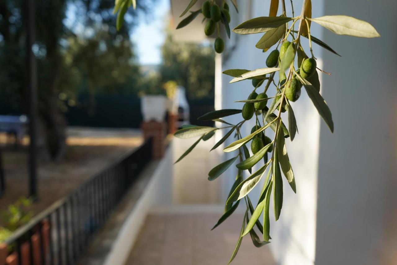 Olive&Sea Villa-Sea ماتيناتا المظهر الخارجي الصورة